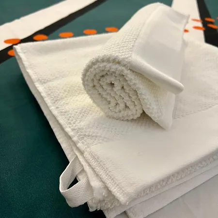 Corner Penthouse In The Center Of Apartment